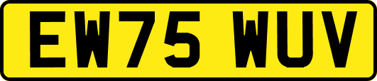 EW75WUV