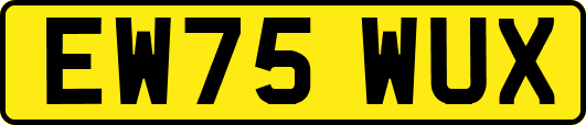 EW75WUX