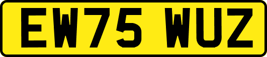 EW75WUZ