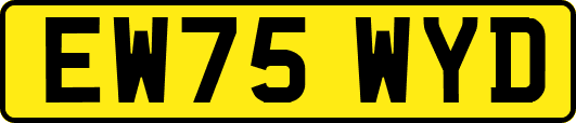 EW75WYD