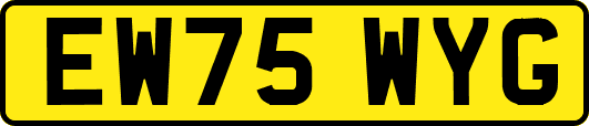 EW75WYG