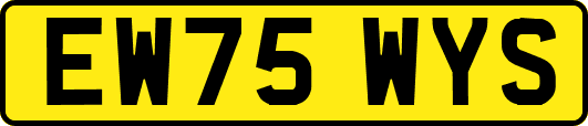 EW75WYS