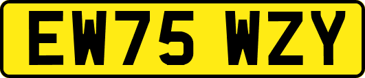 EW75WZY