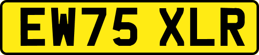 EW75XLR