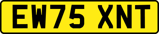 EW75XNT