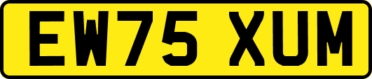 EW75XUM