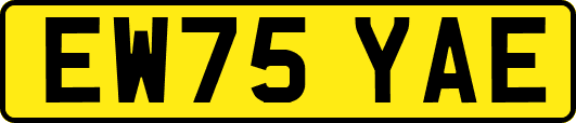 EW75YAE