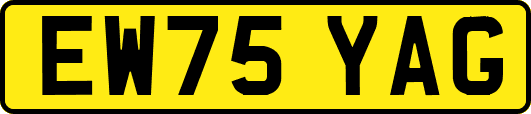 EW75YAG