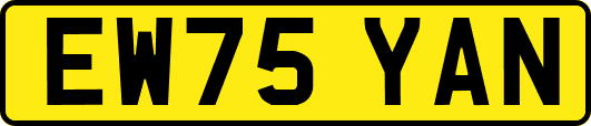 EW75YAN