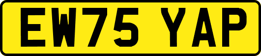 EW75YAP