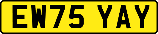 EW75YAY