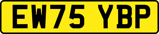EW75YBP