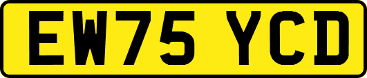 EW75YCD