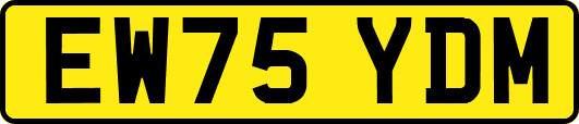 EW75YDM