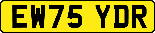 EW75YDR