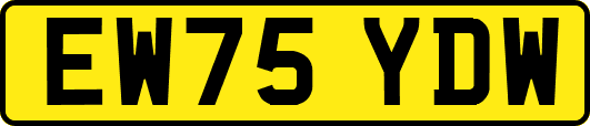 EW75YDW