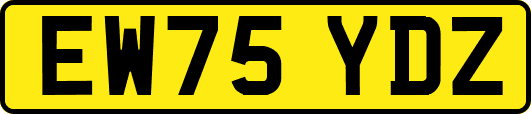 EW75YDZ