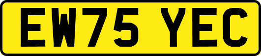 EW75YEC