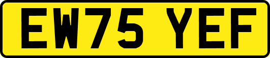 EW75YEF