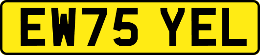 EW75YEL