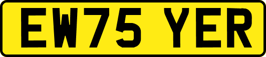 EW75YER