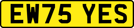 EW75YES