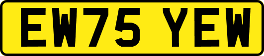 EW75YEW