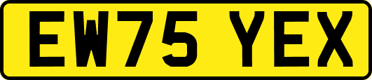 EW75YEX