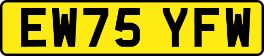 EW75YFW