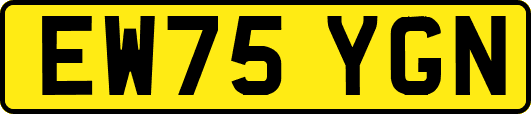 EW75YGN