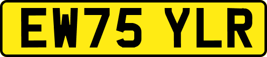 EW75YLR
