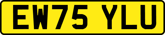 EW75YLU
