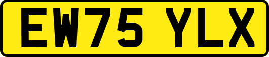 EW75YLX