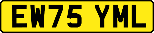 EW75YML