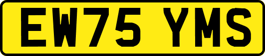 EW75YMS
