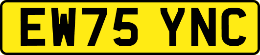 EW75YNC