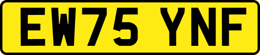 EW75YNF