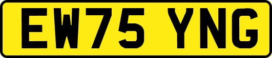 EW75YNG