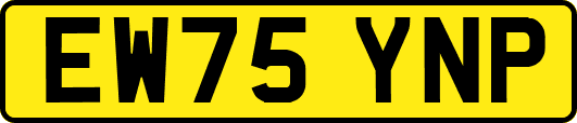 EW75YNP