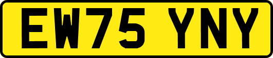 EW75YNY