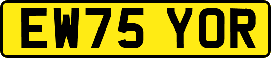 EW75YOR