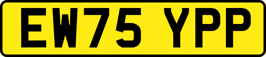 EW75YPP