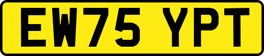 EW75YPT