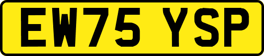 EW75YSP