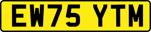 EW75YTM