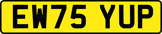 EW75YUP