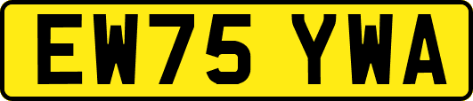 EW75YWA