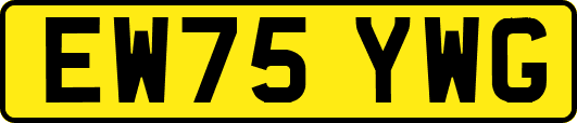 EW75YWG