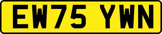 EW75YWN