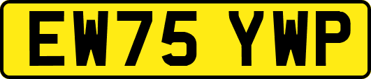 EW75YWP